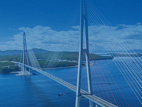  Восточный экономический форум: Дальний Восток – горизонты развития